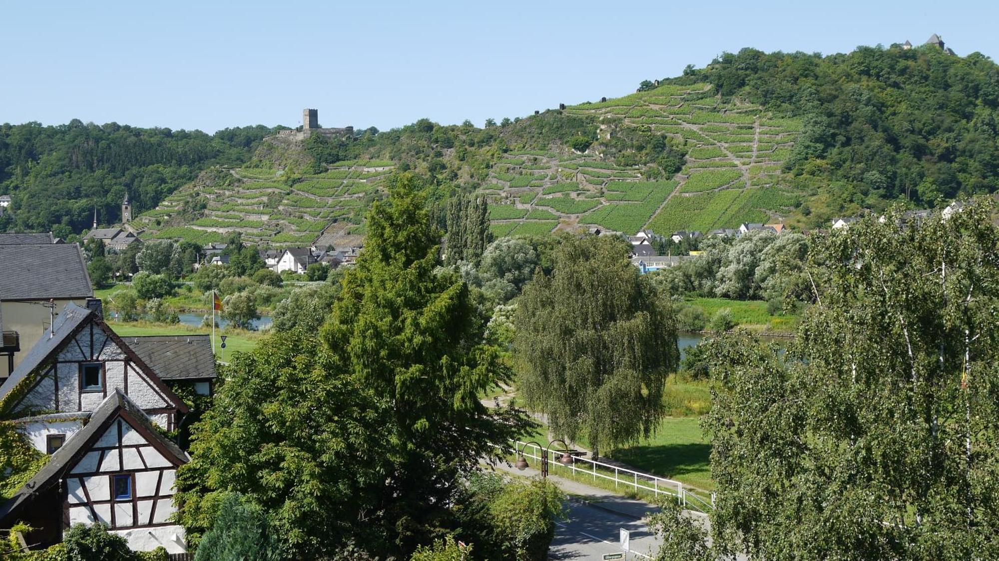 Hotel-Garni-Kachelburg Диблих Экстерьер фото